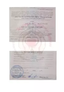 Сергеев Аркадий