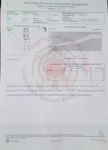 Сергеев Аркадий